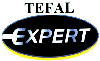 TEFAL EXPERT logo
