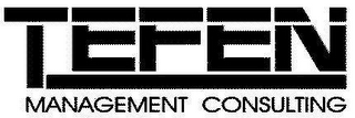 TEFEN MANAGEMENT CONSULTING logo