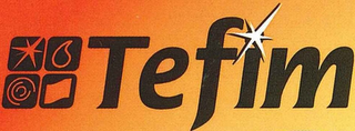 TEFIM logo
