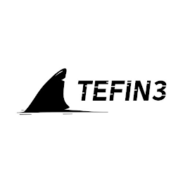 TEFIN3 logo