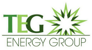 TEG ENERGY GROUP logo