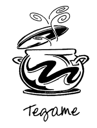 TEGAME logo