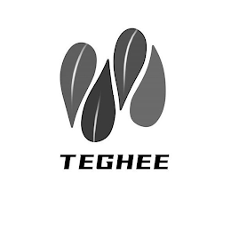 TEGHEE logo