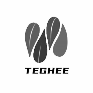TEGHEE logo