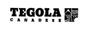 TEGOLA CANADESE logo