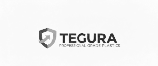 TEGURA PROFESSIONAL GRADE PLASTICS logo