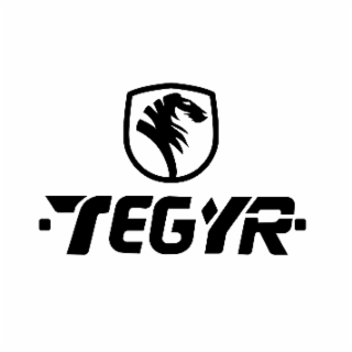 TEGYR logo