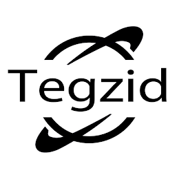 TEGZID logo