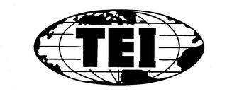 TEI logo
