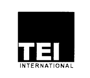 TEI INTERNATIONAL logo