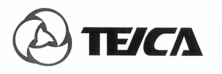 TEICA logo