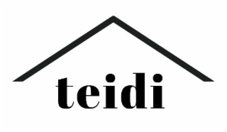 TEIDI logo