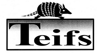 TEIFS logo