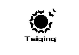 TEIGING logo