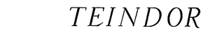 TEINDOR logo