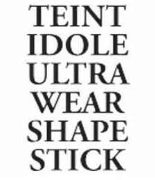 TEINT IDOLE ULTRA WEAR SHAPE STICK logo