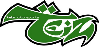 TEIZ TEIZ MOTORSPORTS logo