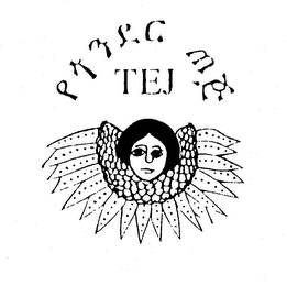 TEJ logo