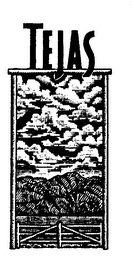TEJAS logo
