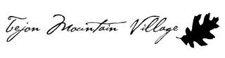 TEJON MOUNTAIN VILLAGE logo