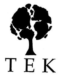 TEK logo