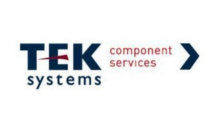 TEK SYSTEMS COMPONENT SERVICES logo