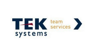 TEK SYSTEMS TEAM SERVICES logo