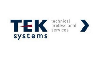 TEK SYSTEMS TECHNICAL PROFESSIONAL SERVICES logo