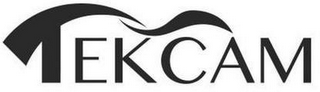 TEKCAM logo