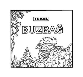 TEKEL BUZBAG logo