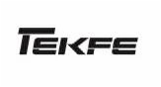 TEKFE logo