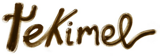 TEKIMEL logo