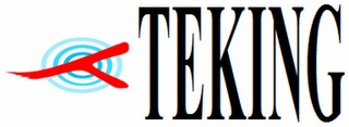 TEKING logo