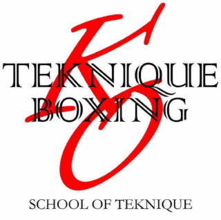 TEKNIQUE BOXING SCHOOL OF TEKNIQUE KO logo