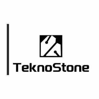 TEKNOSTONE logo