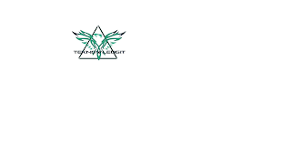 TEKNOWLEDGIT logo