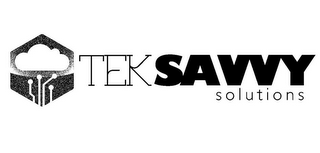 TEKSAVVY SOLUTIONS logo