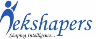 TEKSHAPERS SHAPING INTELLIGENCE... logo
