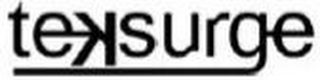 TEKSURGE logo