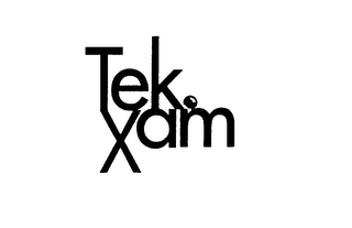 TEK.XAM logo