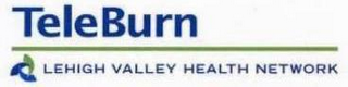 TELEBURN LEHIGH VALLEY HEALTH NETWORK logo