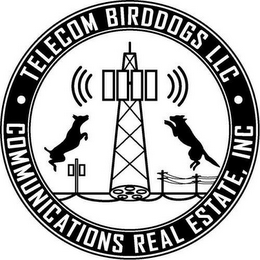 TELECOM BIRDDOGS LLC COMMUNICATIONS REAL ESTATE, INC logo