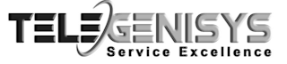 TELEGENISYS SERVICE EXCELLENCE logo