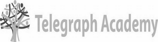 TELEGRAPH ACADEMY logo