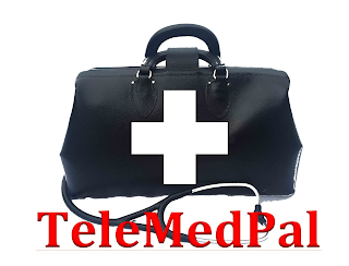 TELEMEDPAL logo