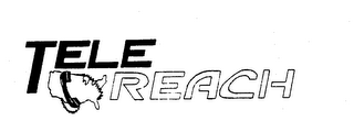 TELEREACH logo