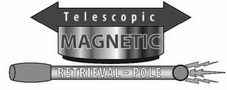 TELESCOPIC MAGNETIC RETRIEVAL-POLE logo