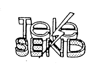 TELESEND logo