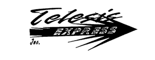 TELESIS EXPRESS INC. logo