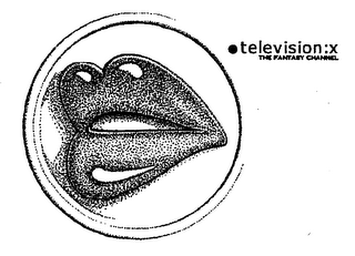 TELEVISION:X THE FANTASY CHANNEL logo